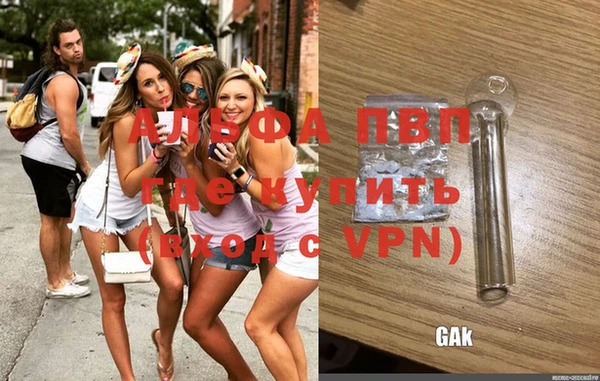 a pvp Белокуриха