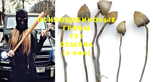 a pvp Белокуриха