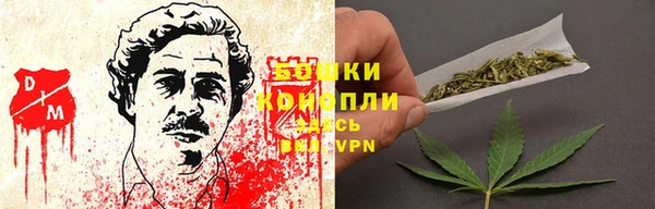 a pvp Белокуриха